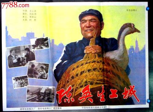 安东内利学院计算机科学文凭证书